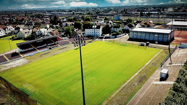 通过回顾王 通过回顾王