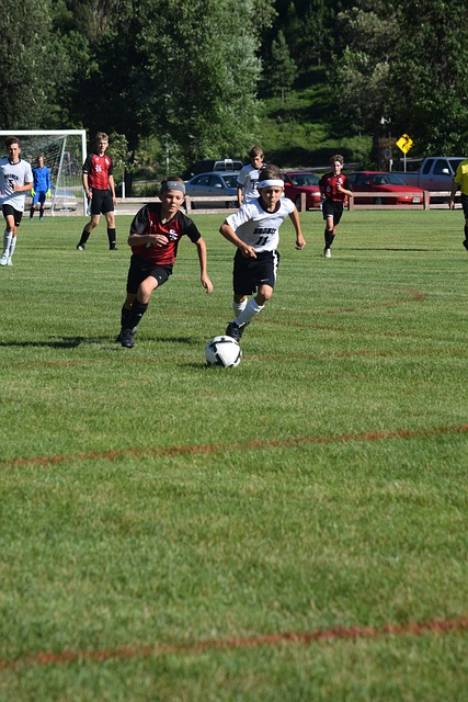 我們看到了 我們看到了